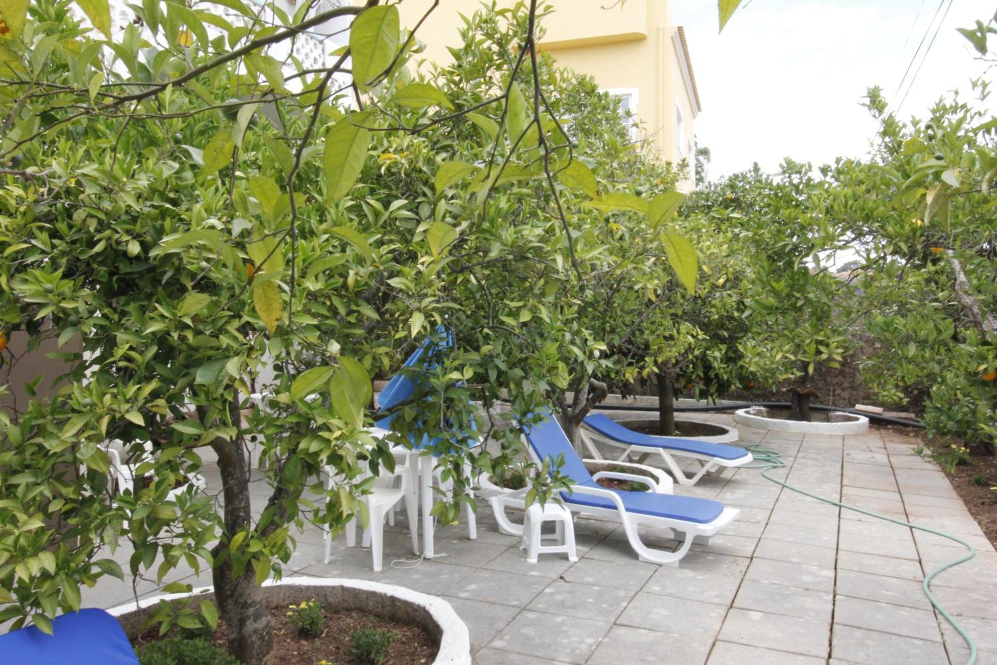 Vila Sodré Guest House Silves Extérieur photo